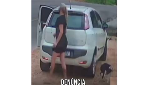 novinha cachorro|VÍDEO: Mulher é presa por abandonar cachorro